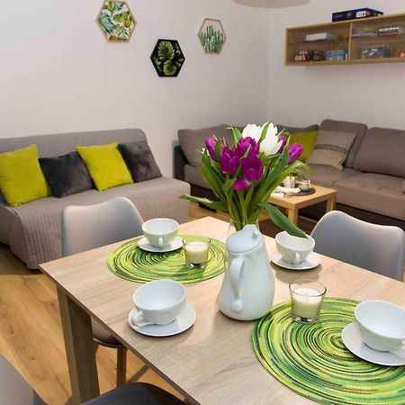 Apartament Grapa Живець Екстер'єр фото